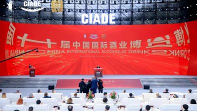 DB�����콢����ح�Ĵ����ṩӦ���������ݵڶ�ʮ���й����ʾ�ҵչ����