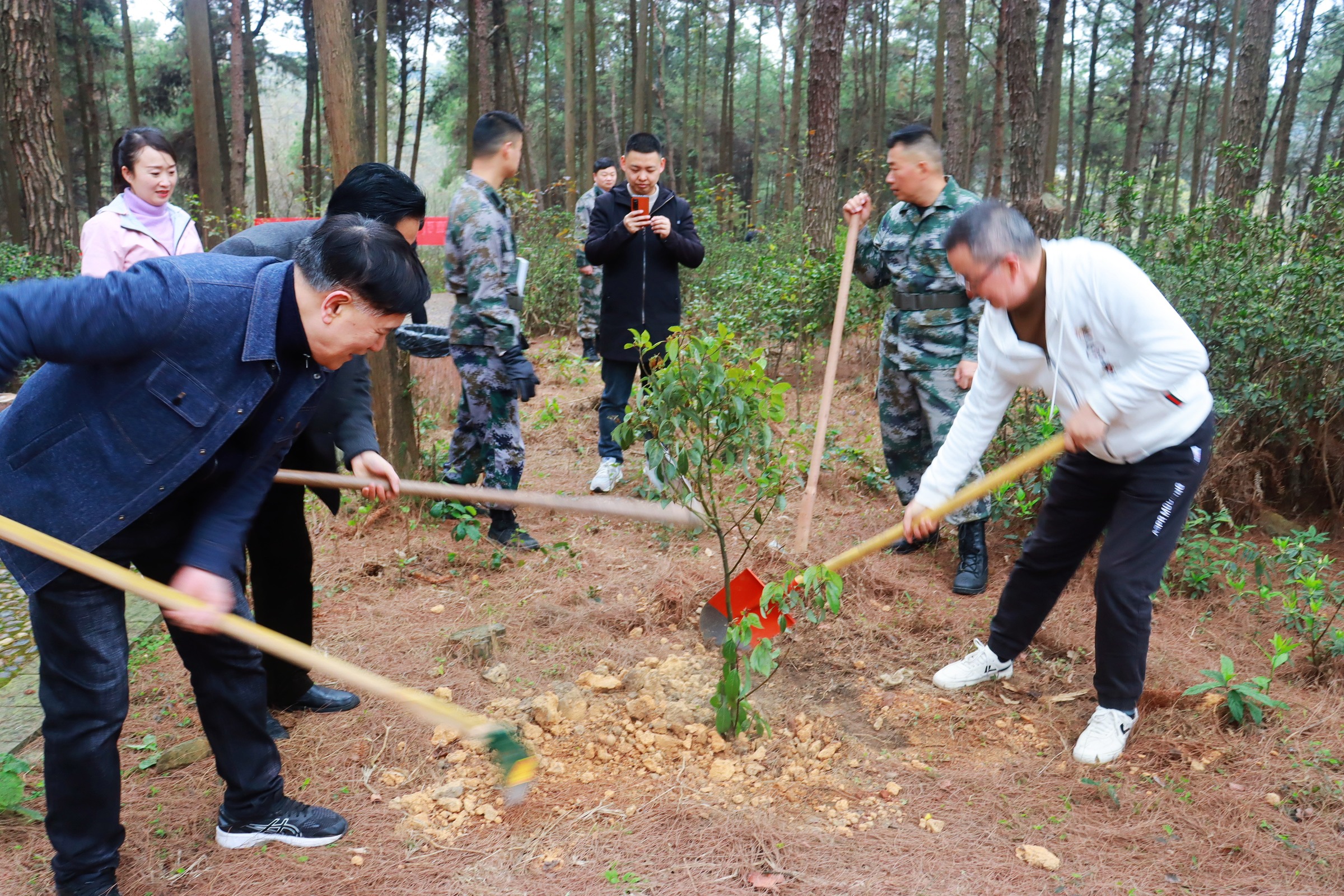 DB���ˡ�(�й���)�ٷ���վ